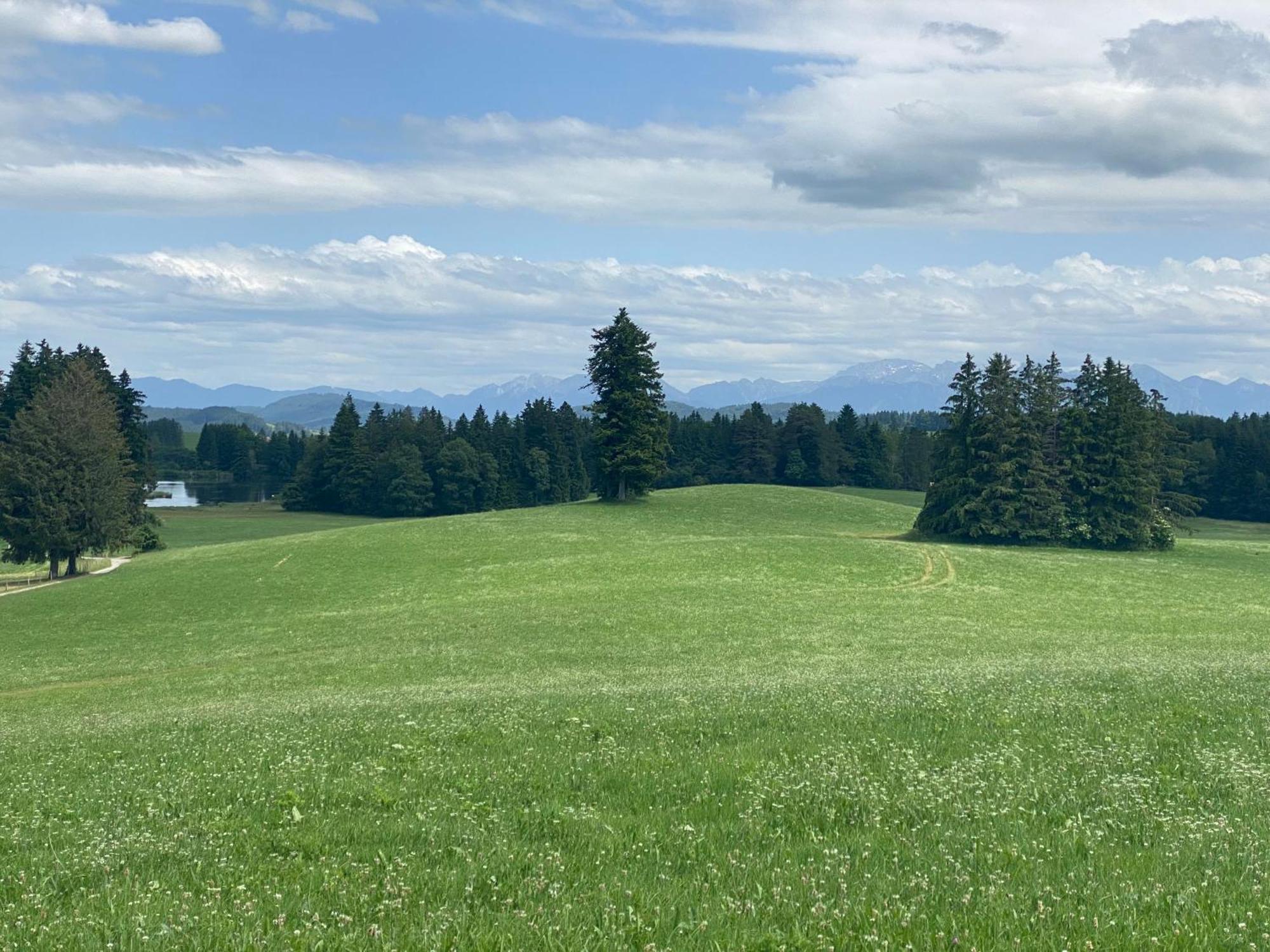 "Allgaeu-Herzl" Alpenchalet Fuer Zwei Ruckholz Luaran gambar